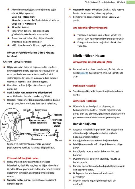hemşirelik 1 sınıf fizyoloji ders notları pdf